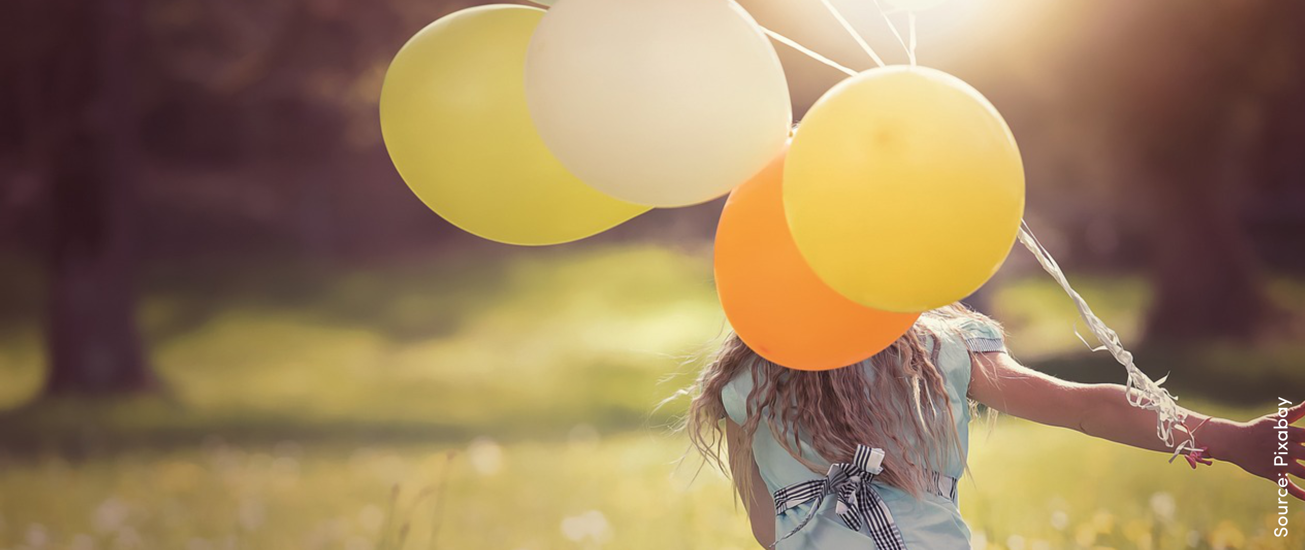 UBI UNIVERSAL BASIC INCOME visual data 8